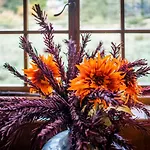 Beautiful Grade 2 Listed Building - West Wing