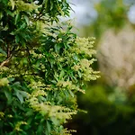 別荘 Beautiful Grade 2 Listed Building - West Wing