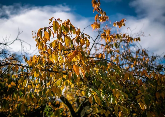 Beautiful Grade 2 Listed Building - West Wing